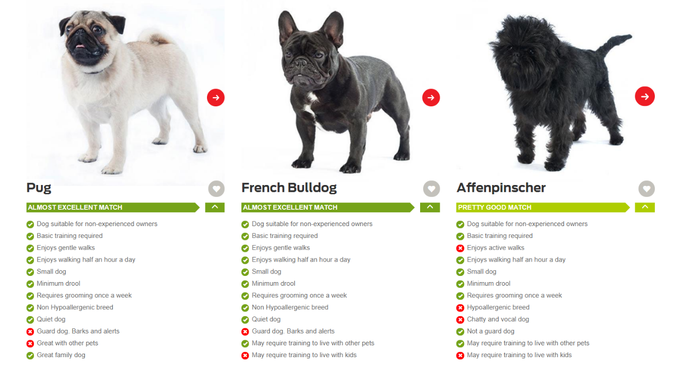 what dog fits me best